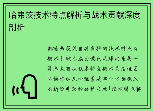 哈弗茨技术特点解析与战术贡献深度剖析