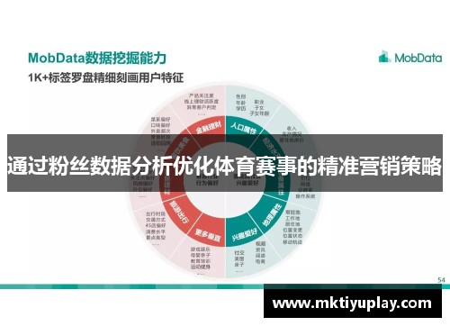 通过粉丝数据分析优化体育赛事的精准营销策略
