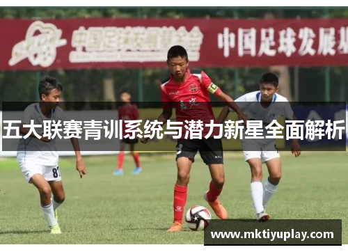 五大联赛青训系统与潜力新星全面解析
