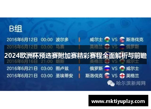 2024欧洲杯预选赛附加赛精彩赛程全面解析与前瞻