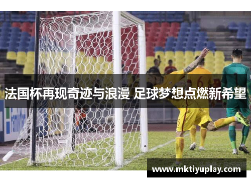 法国杯再现奇迹与浪漫 足球梦想点燃新希望