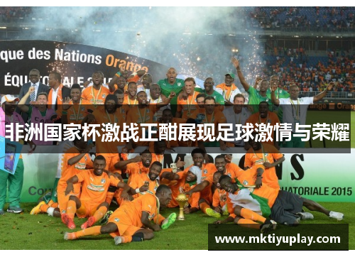 非洲国家杯激战正酣展现足球激情与荣耀