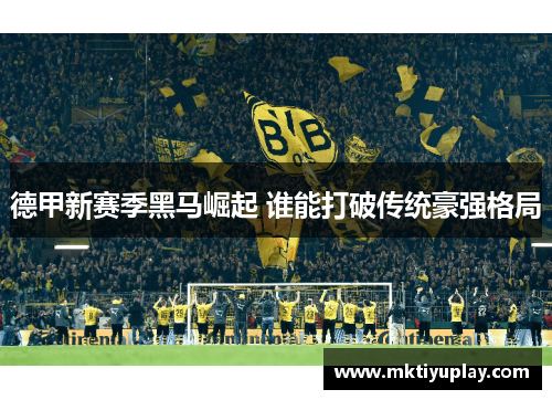 德甲新赛季黑马崛起 谁能打破传统豪强格局